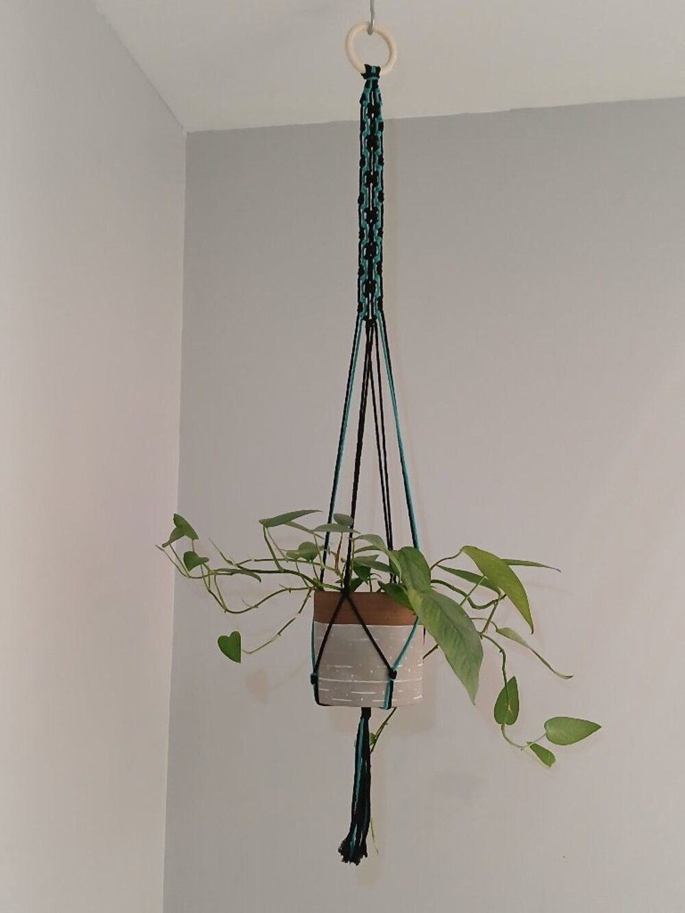 Plant Hanger